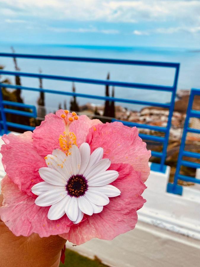 Apartamento Atlantico - Terraza única con vistas al océano - Wifi&Netflix Santa Cruz de Tenerife Esterno foto