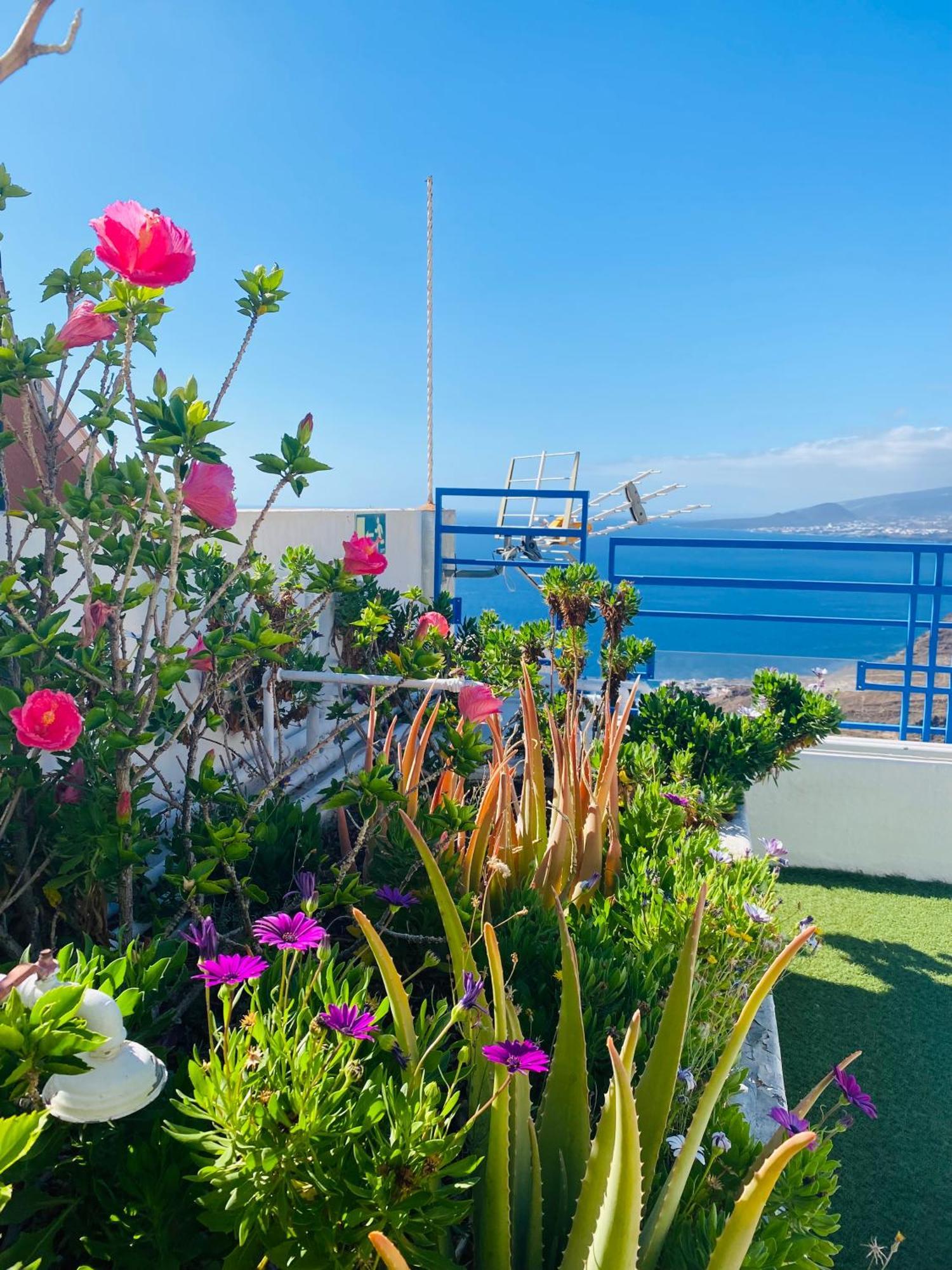 Apartamento Atlantico - Terraza única con vistas al océano - Wifi&Netflix Santa Cruz de Tenerife Esterno foto